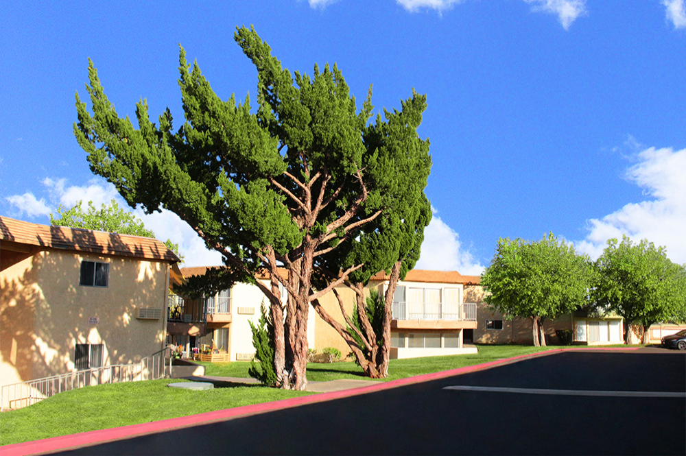 Thank you for viewing our Exteriors 12 at Mountain Shadows Apartments in the city of Palmdale.